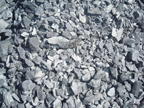 磷矿石中岩石的化学成分