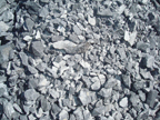 磷矿石加工所用的球磨机