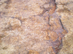 磷矿石开发中的陡山沱组
